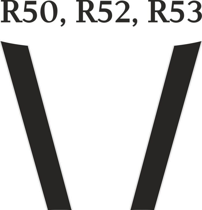Naklejki pasy na makse do MINI R50 R52 R53 stripes, sticker