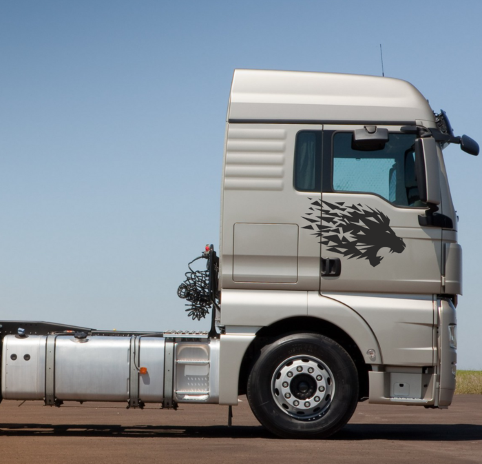 Ciężarówki ciężarowe MAN TGX TGA lew lion naklejki decals stripes sticker aufkleber nalepky samolepky tuning