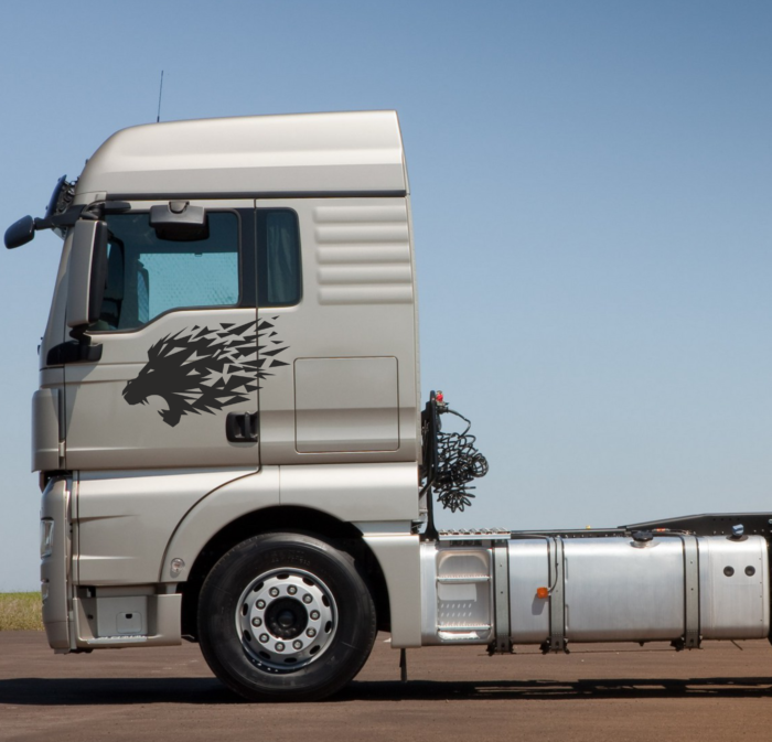 Ciężarówki ciężarowe MAN TGX TGA lew lion naklejki decals stripes sticker aufkleber nalepky samolepky tuning